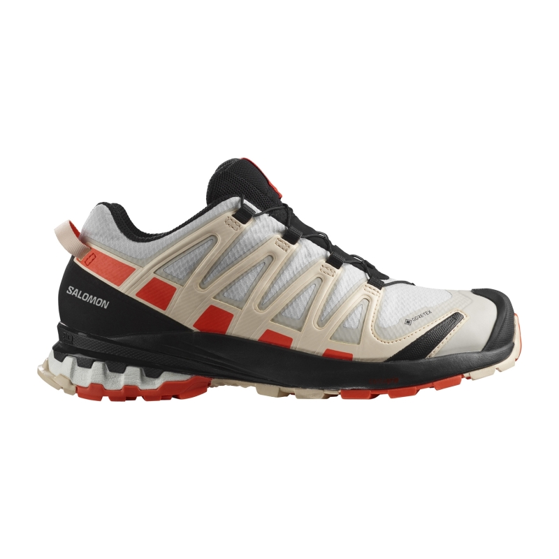 SALOMON XA PRO 3D V8 GTX W