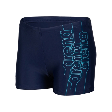 ARENA SWIM SHORT GRAPHIC